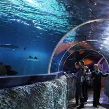 Sylt Aquarium