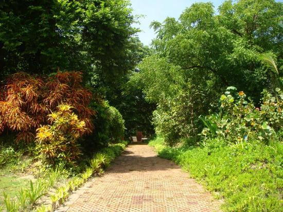 el Jardin Botanico de San Andres