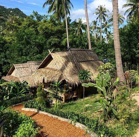 The Earth House