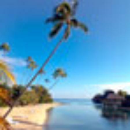 Surf City Bake Shop