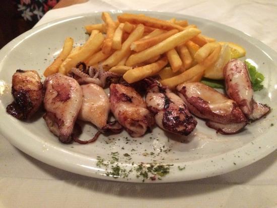 Galeb