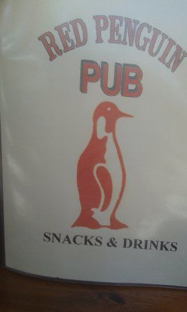 Red Penguin Dassi