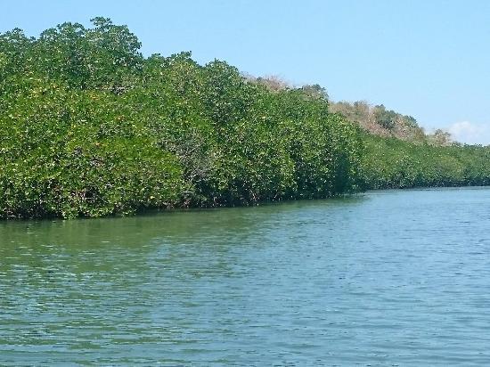 Taklong Island National Marine Reserve