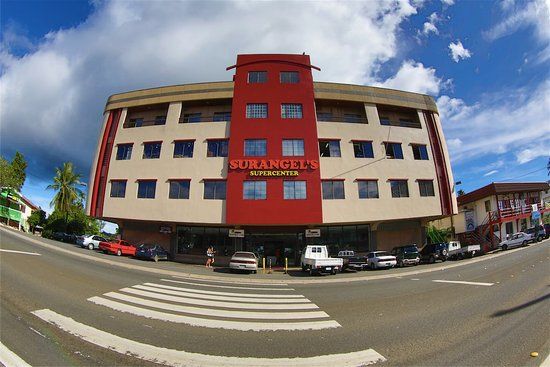 Surangel and Sons Co