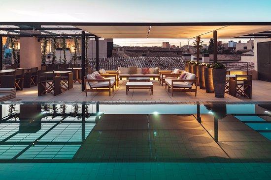 Singular Rooftop Terrace