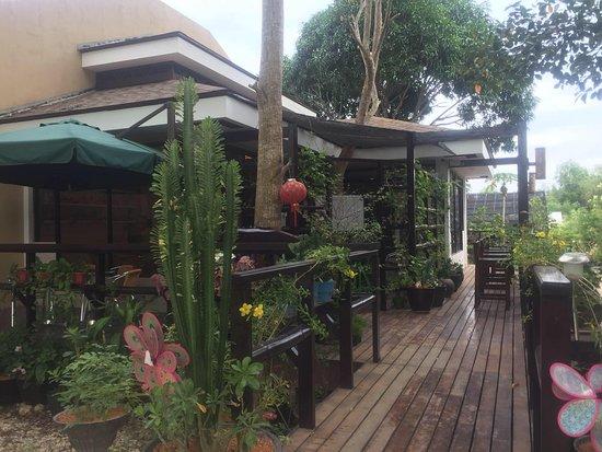 Treehouse Cafe