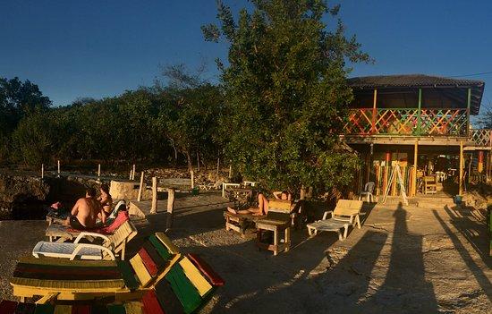 Reggae Roots