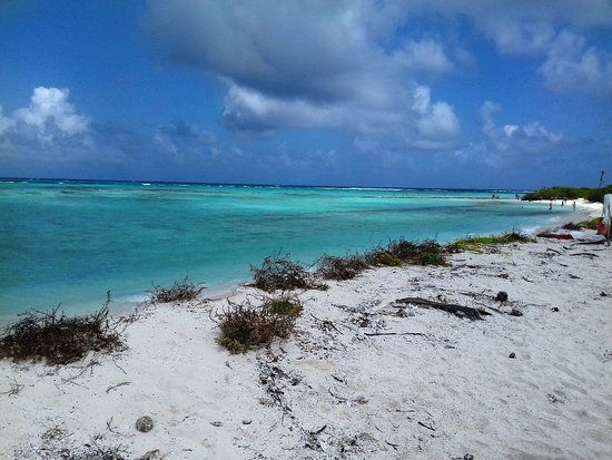 Winkelgebied North End