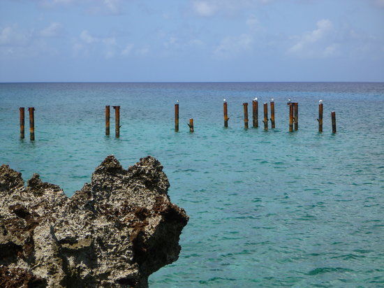 Sharky Dive Shop