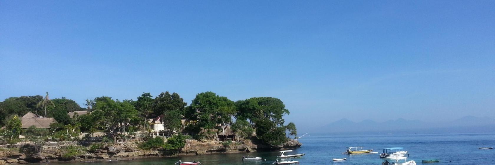 Mushroom Bay