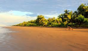 Contadora Island