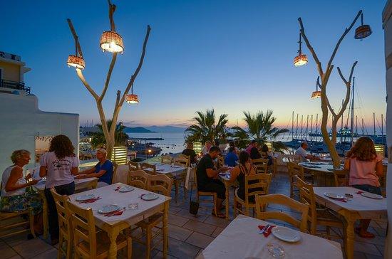 Flamingo Restaurant