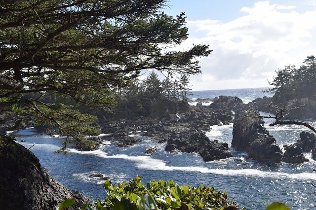 Ucluelet lighthouse loop