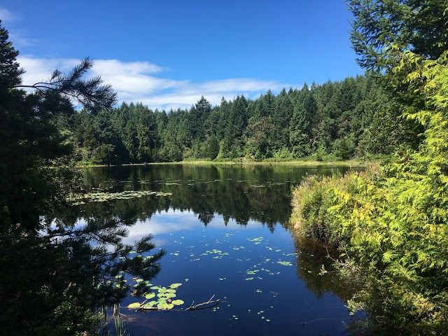 Lost Lake Trail
