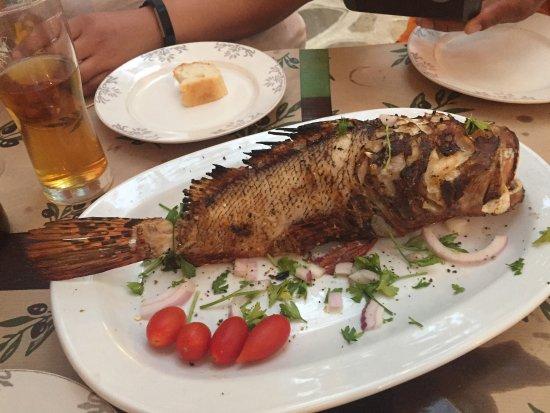 Gia.Lou