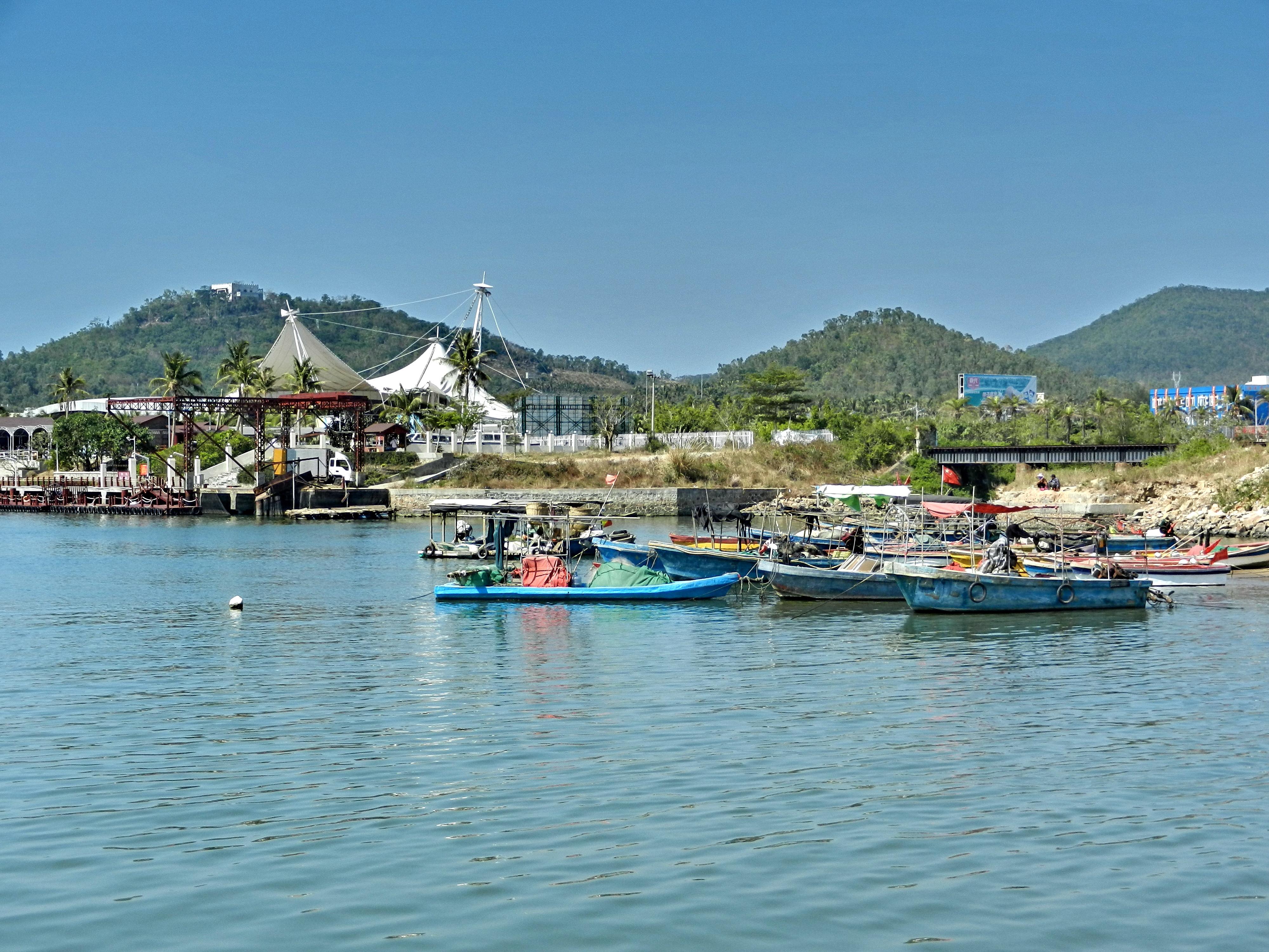 Xi Dao