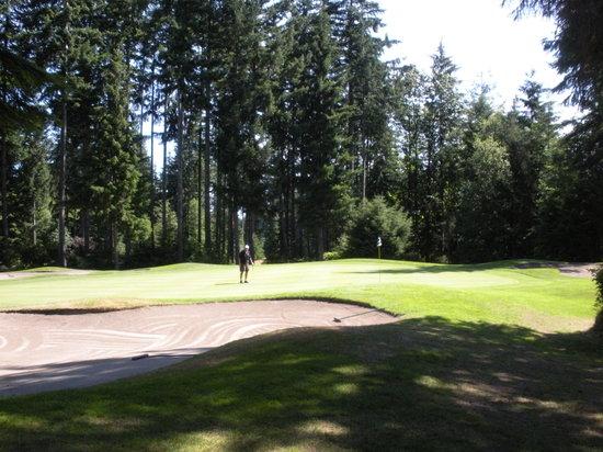 Parcours de golf Storey Creek