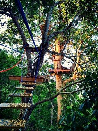 High Point Adventure Park