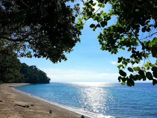 Canibad Beach