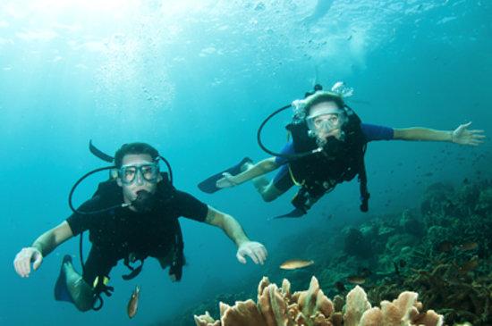 Princess Divers