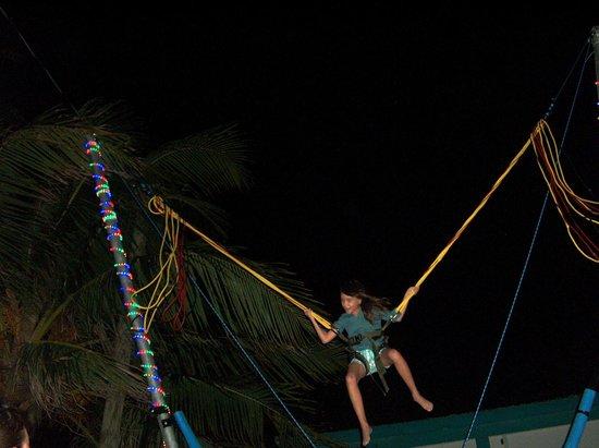 Toucan Bungy Jumper Trampoline