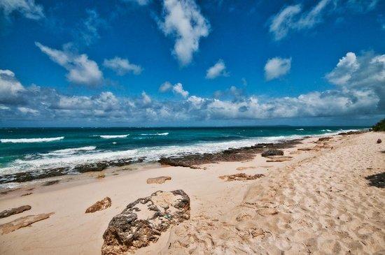 Nagamahama Beach