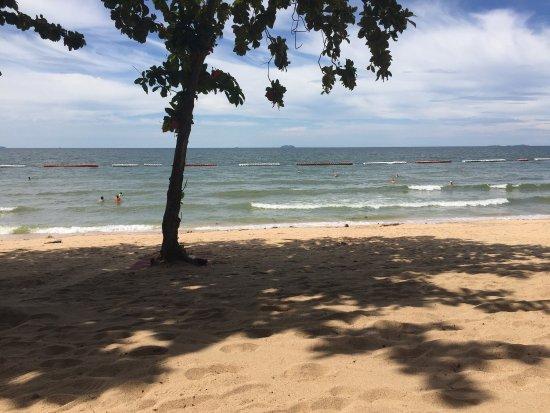 Dongtan Beach