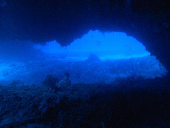 Palaka Siargao Dive Center