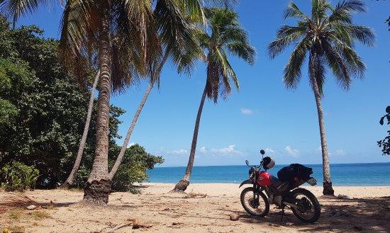 Road Runner Scooter Hire