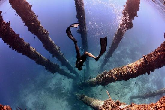 Deepsea Freediving School