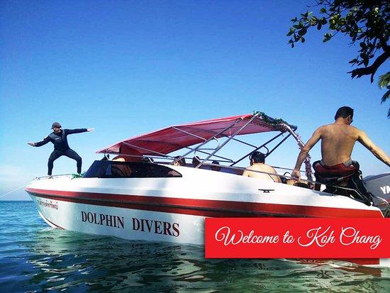 Dolphin Divers