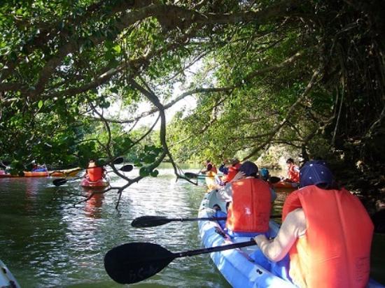 Ishigaki Island Canoeing Tour Lagoon