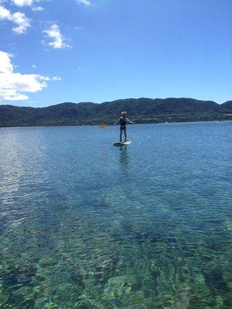 Ishigaki Island Eco Tour