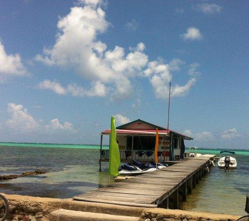 Action Divers and Adventures