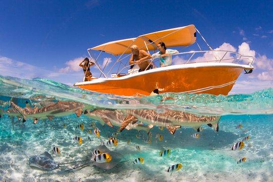 La Plage Tours