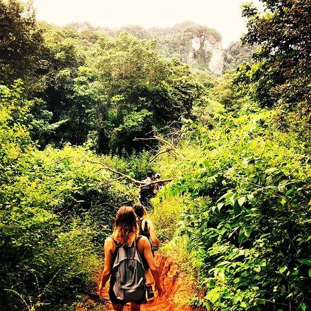 Antrek Phi Phi