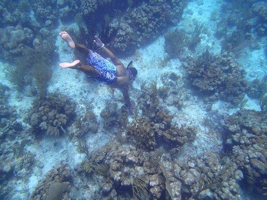 Culebra Bluewater Charters