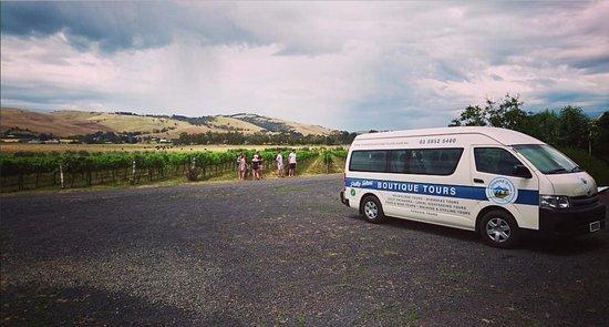 Dianne's Venture Tours