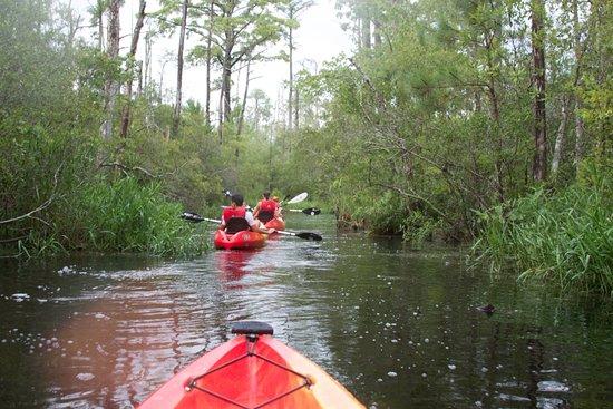 Outer Banks Kayak Adventures