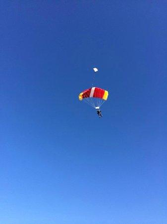 Skydive Newport