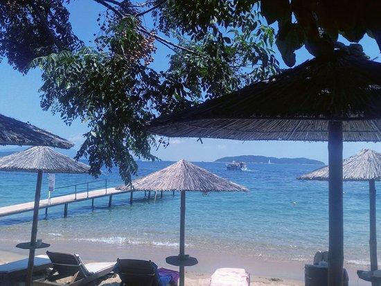 Mojo Bar by the Sea