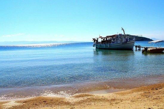 Eleni Boat Tours
