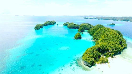 Oasis Palau