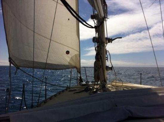 Casual Fare Sailing Charters Magnetic Island