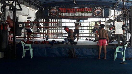 Twin Tiger Muay Thai - Day Classes