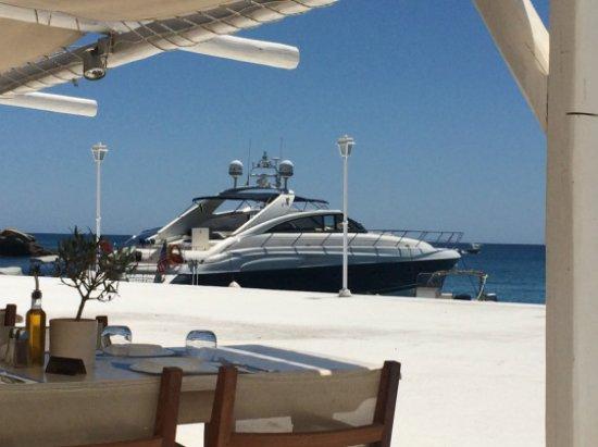 Charter for Fun