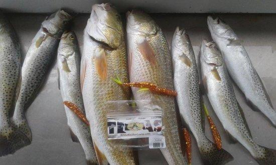 Capt. Elliott Fishing Charters