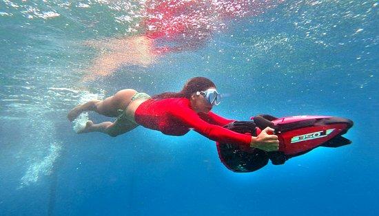 Seaflower Adventure SAS