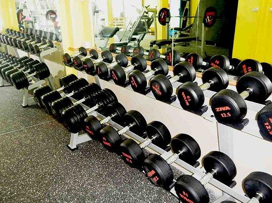 Dolphin Fitness