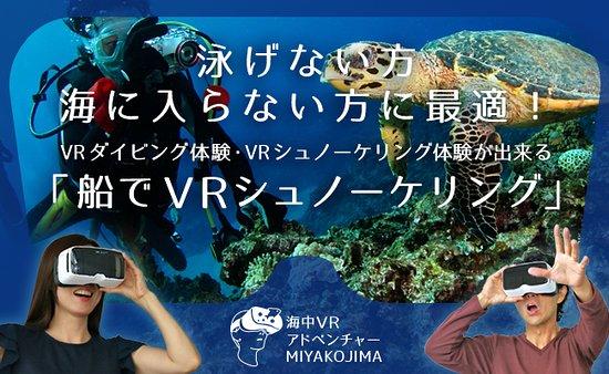 Under Water VR Adventure Miyakojima